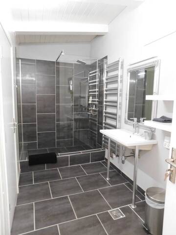 Фото номера Семейный суперлюкс Мотели Mountain Vista Suites г. Зэрнешти 7