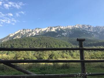 Фотографии Гостевой дом Pensiunea Kyfana г. Зэрнешти (Румыния) №1 Фото Гостевой дом Pensiunea Kyfana г. Зэрнешти 1